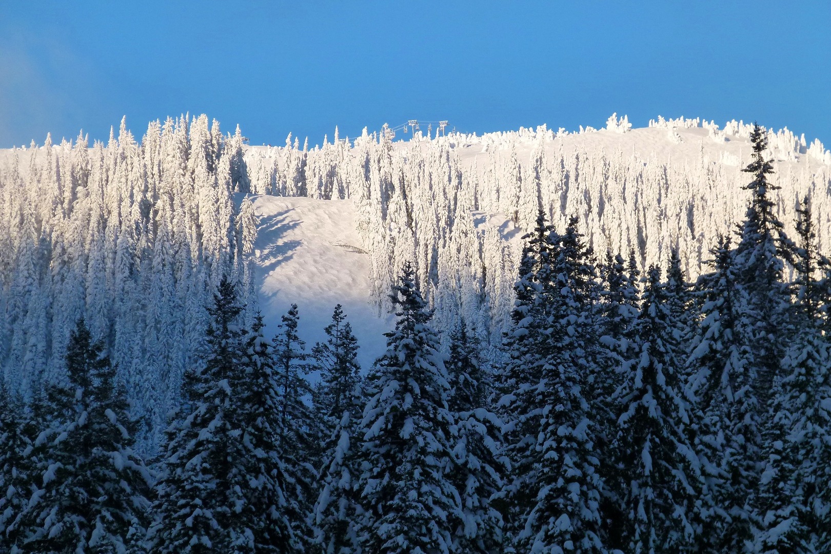 MONTAGNA - VENDITA CASA APPARTAMENTO IN MONTAGNA IN LOCALITÃ€ SCIISTICHE